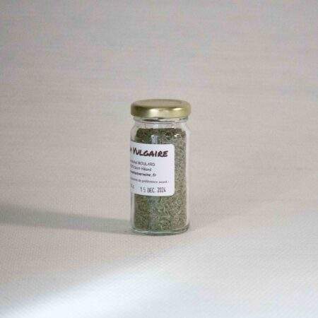 Aromate – Thym vulgaire